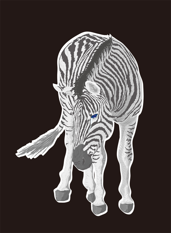 zebra-2.jpg